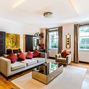 Garden Apartment in Central London